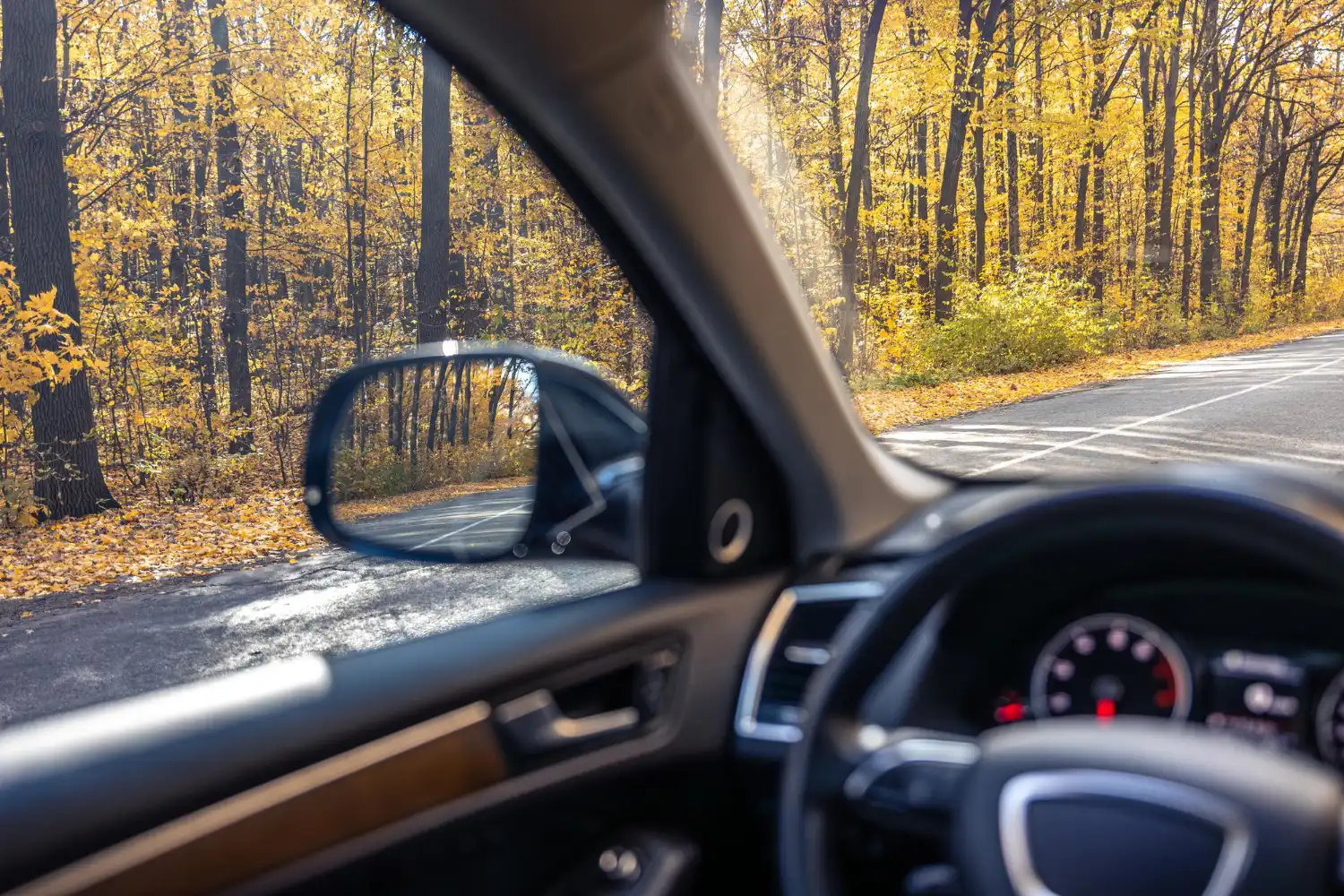 Sustitución de parabrisas y cristales